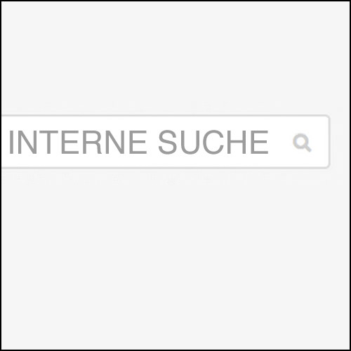 interne onlineshop suche