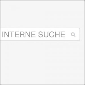interne onlineshop suche